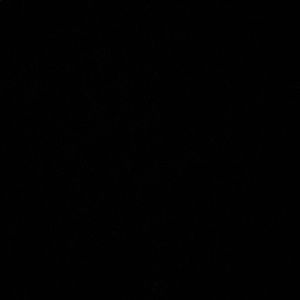 Meet your Posher, Sophie